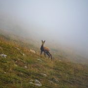 Bulgaria