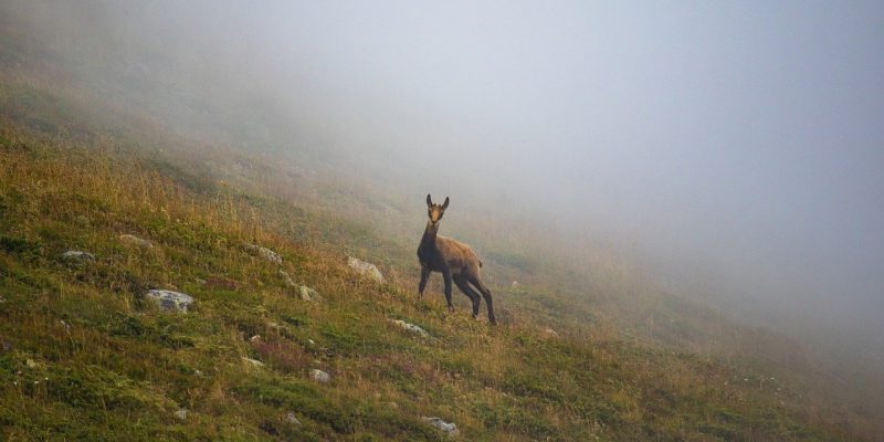 Bulgaria
