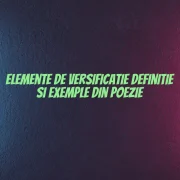 Elemente de versificatie definitie si exemple din poezie