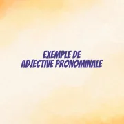 exemple de adjective pronominale