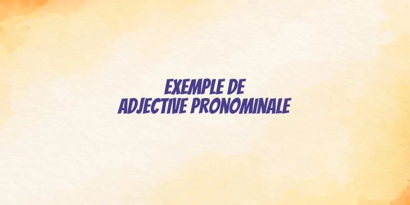 exemple de adjective pronominale