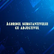 acordul substantivului cu adjectivul