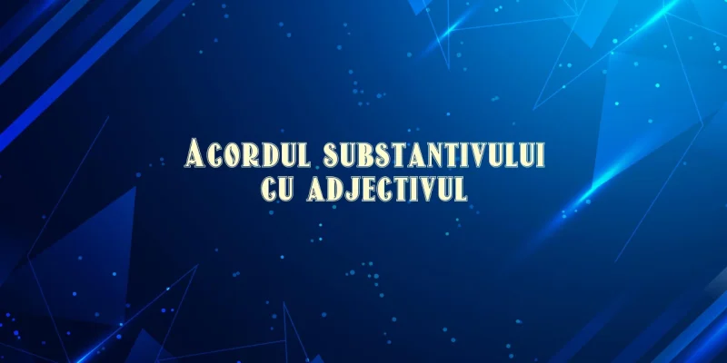 acordul substantivului cu adjectivul