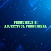 pronumele si adjectivul pronominal