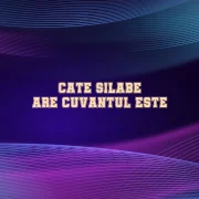 cate silabe are cuvantul este