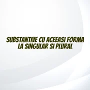 substantive cu aceeasi forma la singular si plural