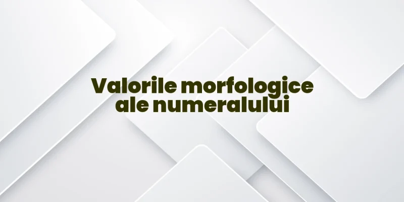 valorile morfologice ale numeralului