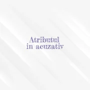 atribut in acuzativ