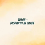 viitor despartit in silabe