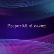 prepozitii cazuri